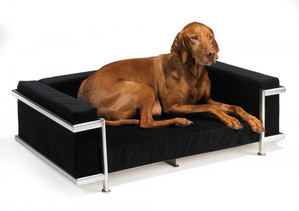 moderno dog bed